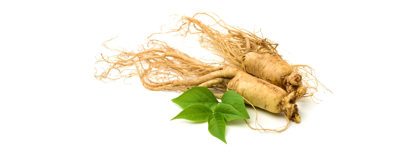 Ginseng Nedir?