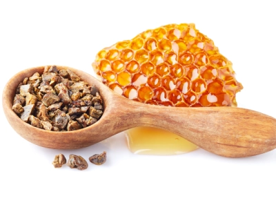 Propolis Nedir, Faydaları Nelerdir?