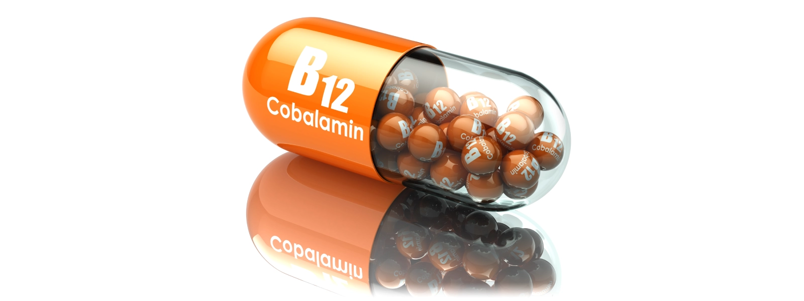 B12 Vitamini Hangi Besinlerde Bulunur?